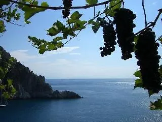 美丽湾大酒店
